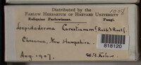 Image Associated With the Occurence